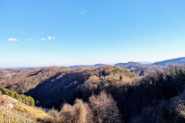 galerija